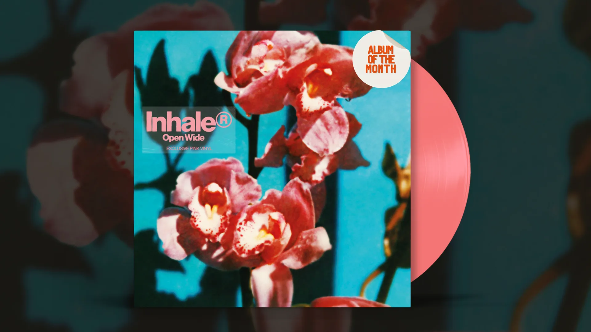 ALBUM OF THE MONTH: INHALER - OPEN WIDE