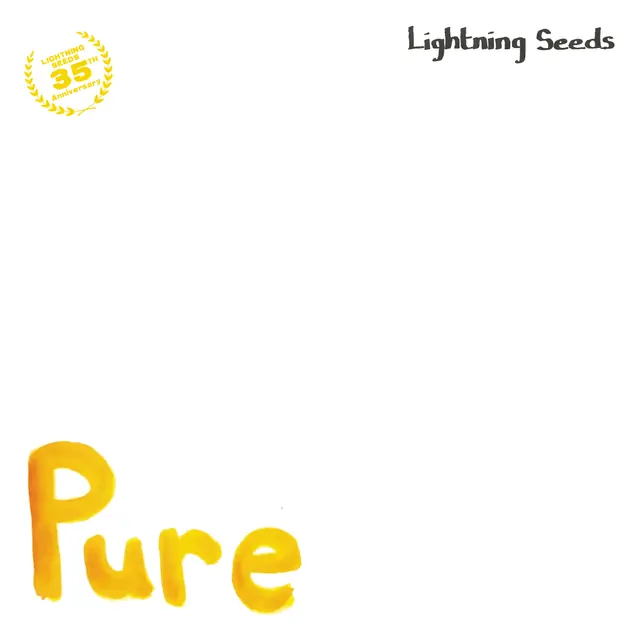 All I Want - Pure